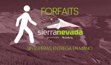 Forfait ticket peatón